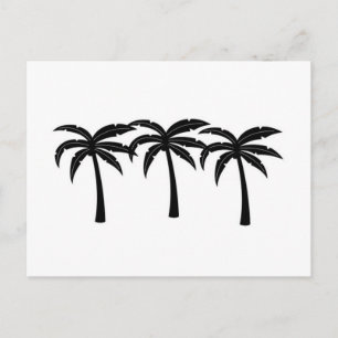 Cartão Postal Palmeiras tropicais