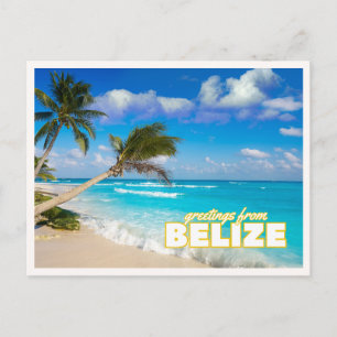 Cartão Postal Palmeiras Tropicais da Praia de Belize Retrô Vinta