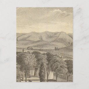 Cartão Postal Palmer res, vinhedo