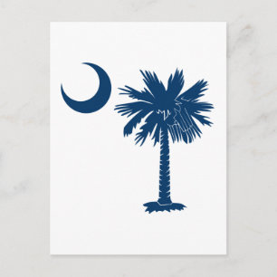 Cartão Postal Palmetto Azul
