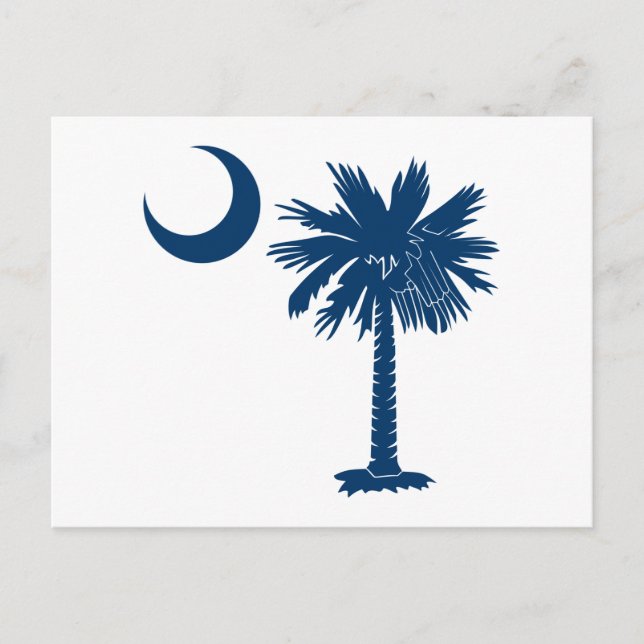 Cartão Postal Palmetto Azul (Frente)