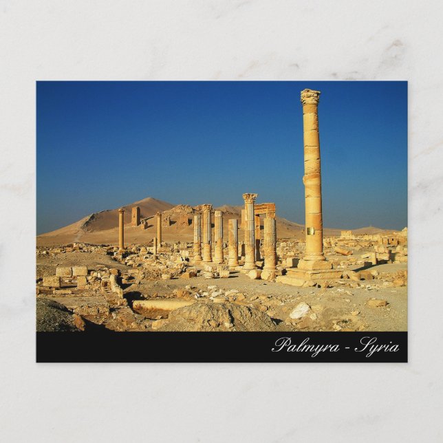Cartão Postal Palmyra, Templo de Bell, Ruínas Romanas, Síria (Frente)