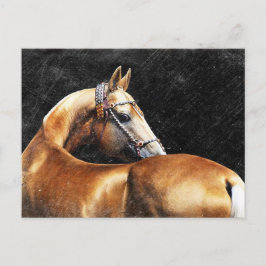 Cartão Postal Palomino Akhal-teke