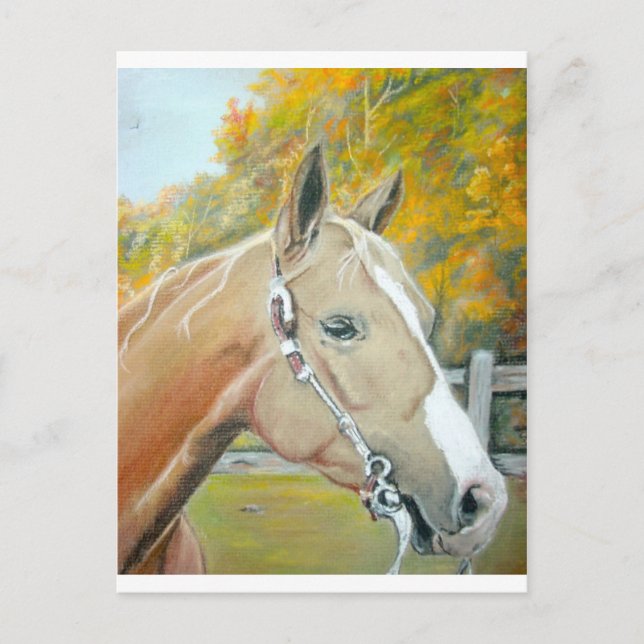 Cartão Postal Palomino, Cavalo pastel (Frente)