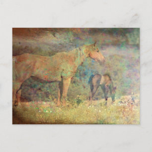 Cartão Postal Palomino Mare e Foal
