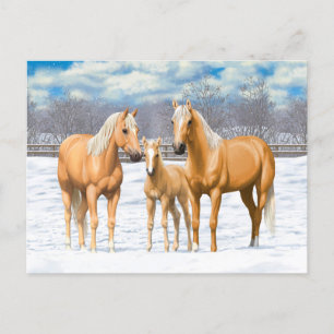 Cartão Postal Palomino Quarter Hormonas Em Neve