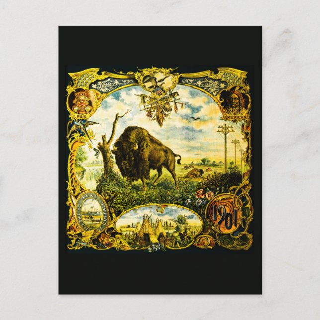 Cartão Postal Pan Am Expo com Motivos de Bisonho e Nativos Ameri (Frente)