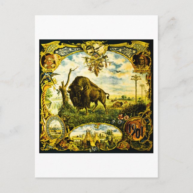 Cartão Postal Pan Am Expo com Motivos de Bisonho e Nativos Ameri (Frente)