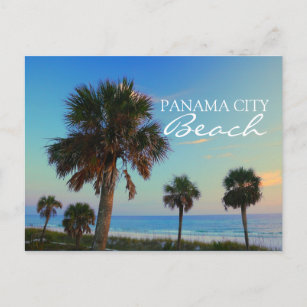 Cartão Postal Panama City Beach, Flórida Palm Trees Sunset
