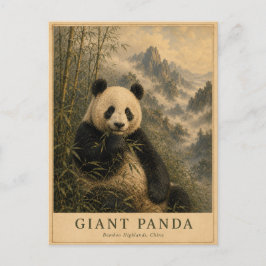 Cartão Postal Panda Bamboo Highlands China VINTAGE