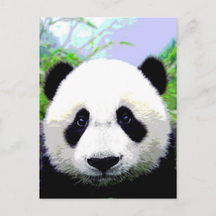 Cartão Postal Panda Bear