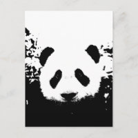 Panda Bear