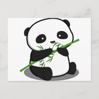 Cartão Postal Panda bonito