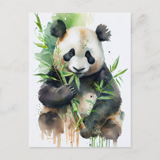 Cartão Postal Panda com pele branca e negra.