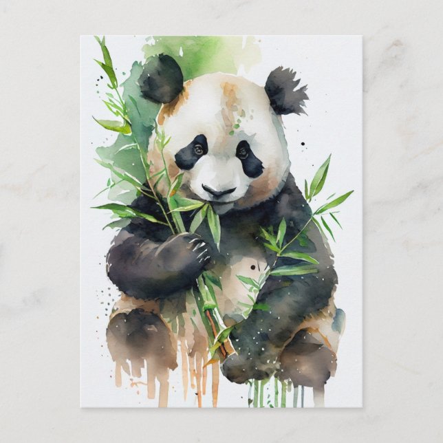 Cartão Postal Panda com pele branca e negra. (Frente)