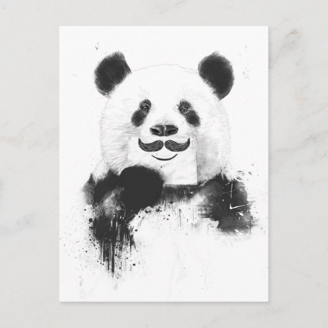 Cartão Postal Panda engraçada (Frente)