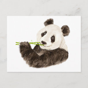 Cartão Postal Panda Fofa, Urso Asiático, Animal De Aquarela