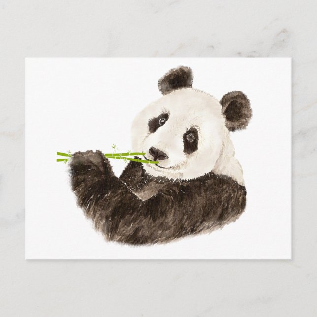 Cartão Postal Panda Fofa, Urso Asiático, Animal De Aquarela (Frente)