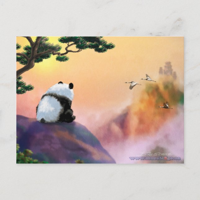 Cartão Postal Panda Olhando (Frente)