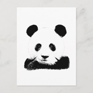 Cartão Postal Panda Peeks Out