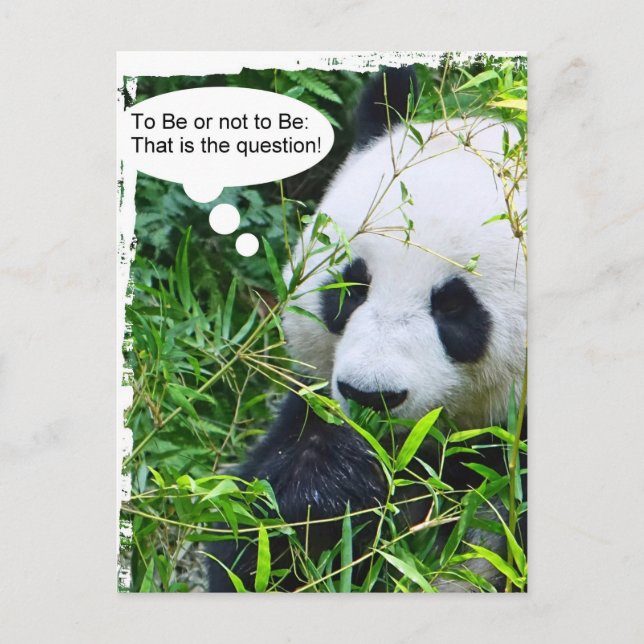 Cartão Postal Panda Quote Modelo Animal Trendy Modern (Frente)