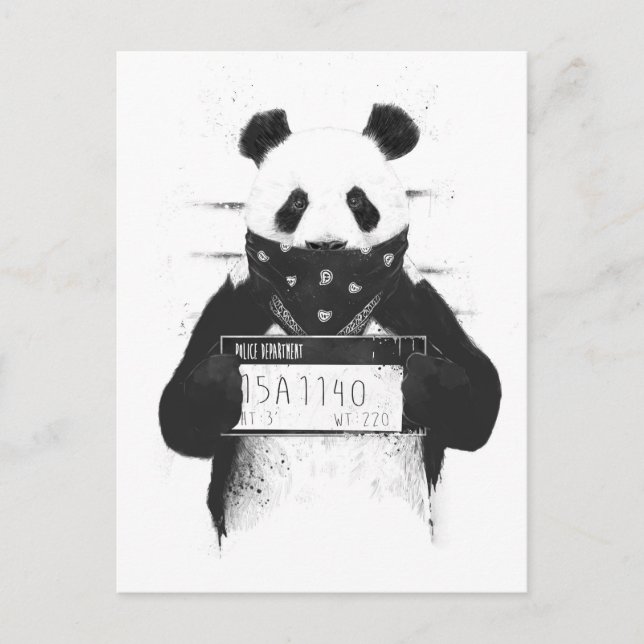 Cartão Postal Panda ruim (Frente)