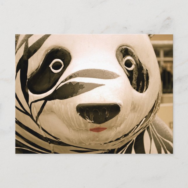 Cartão Postal Panda Sepia Coberta Pelo Gelo (Frente)