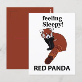 Cartão Postal Panda Vermelha Sentindo Sonolência Engraçado Panda
