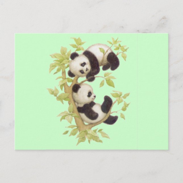 Cartão Postal Pandas Cuecas (Frente)