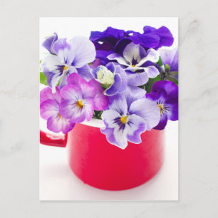 Cartão Postal pansor roxo