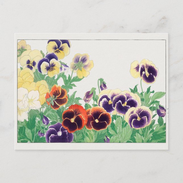 Cartão Postal Pansy de Tanigami Konan (Frente)