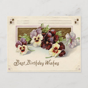 Cartão Postal Pansy Pansies Purple White