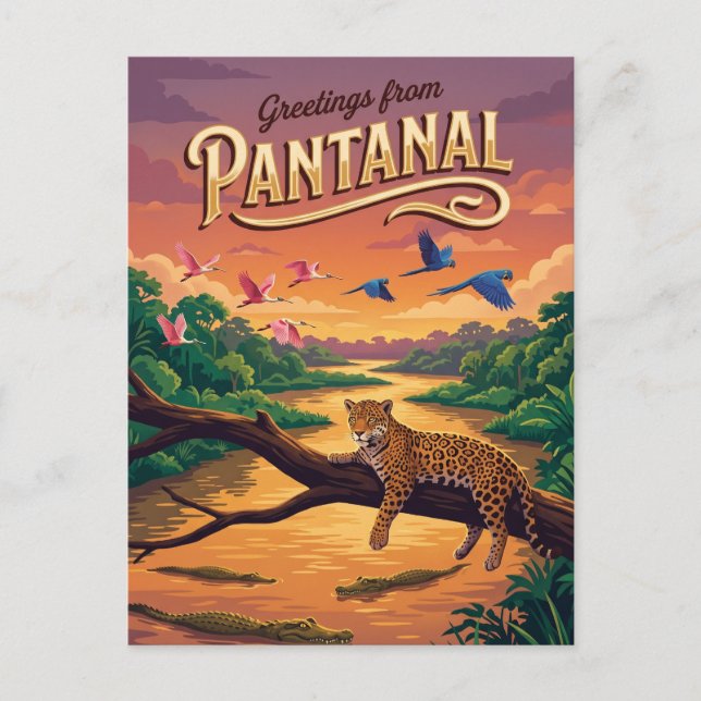 Cartão Postal Pantanal Brasil (Frente)
