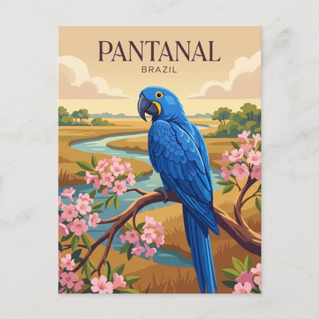 Cartão Postal Pantanal Brasil (Frente)