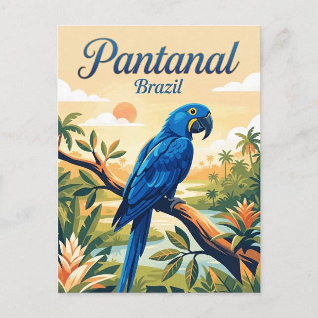 Cartão Postal Pantanal Brasil (Frente)