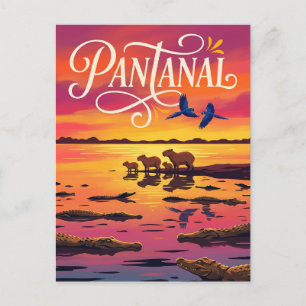Cartão Postal Pantanal Brasil