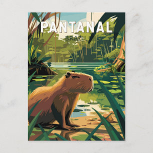 Cartão Postal Pantanal Brasil Capybara Viagem Art Vintage