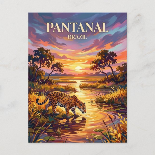 Cartão Postal Pantanal Brazil (Frente)