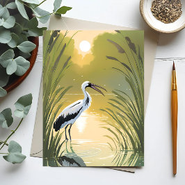 Cartão Postal Pântano da Cegonha | Parque Nacional Everglades Aq