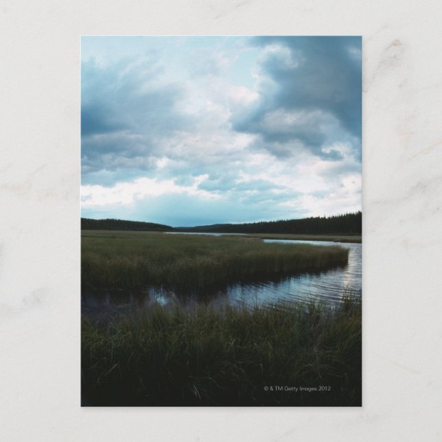 Cartão Postal Pântano salgado (Frente)