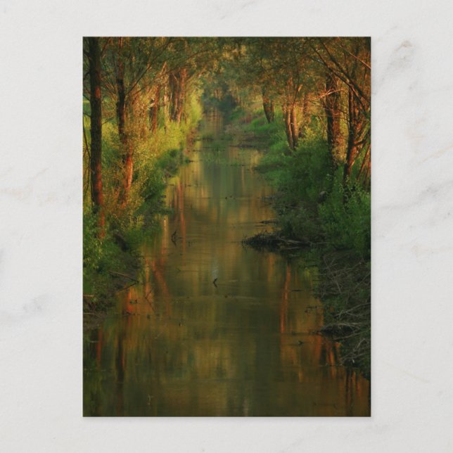 Cartão Postal Pântanos de Liubliana (Frente)