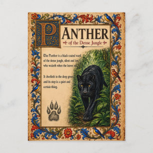 Cartão Postal Pantera, Arte do Bestiário Medieval