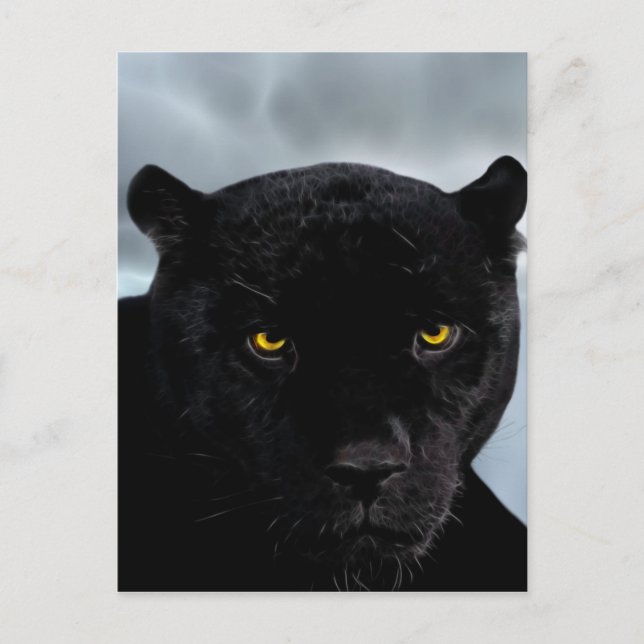 Cartão Postal Panthera preto (Frente)