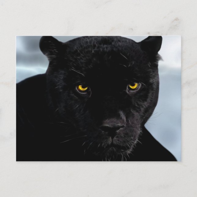 Cartão Postal Panthera preto (Frente)