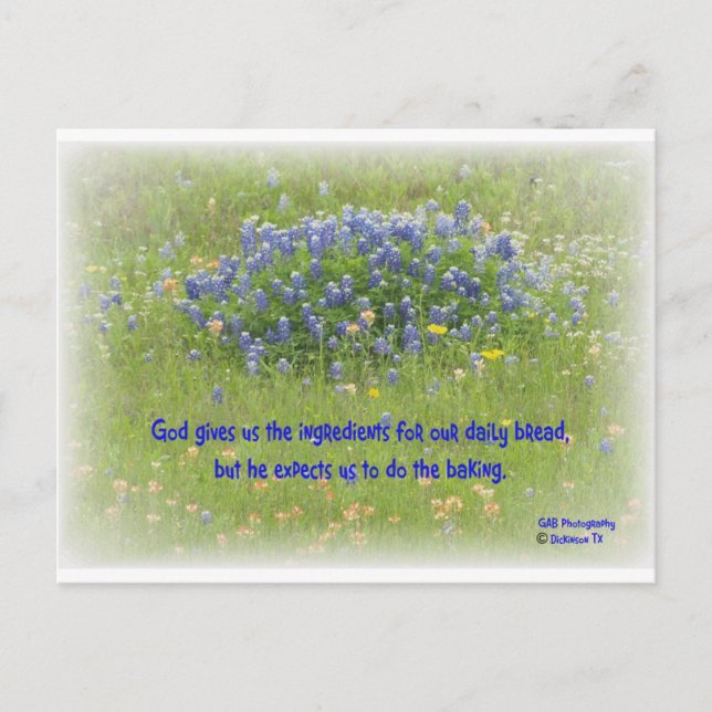 Cartão Postal Pão Diário (Frente)