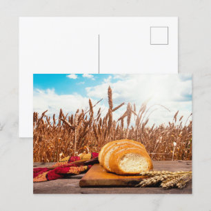 Cartão Postal Pão no campo de trigo