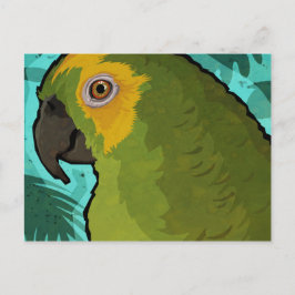 Cartão Postal Papagaio
