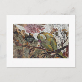 Cartão Postal papagaio