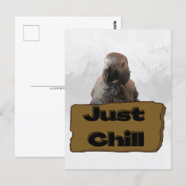 Cartão Postal Papagaio-cinza africano, Cartão-postal