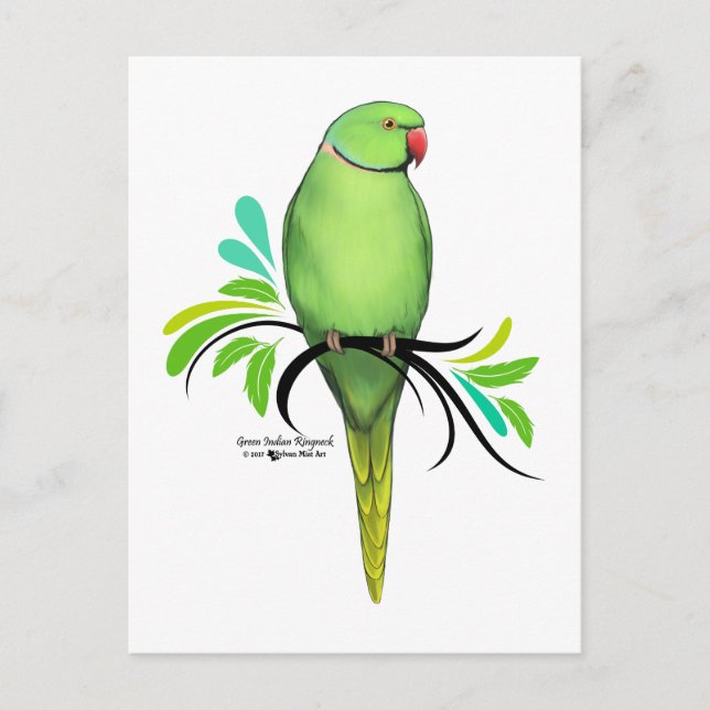 Cartão Postal Papagaio-de-colar-indiano-verde (Frente)